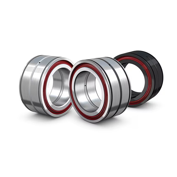 Double Row Full Complement Cylindrical Roller Bearings-2